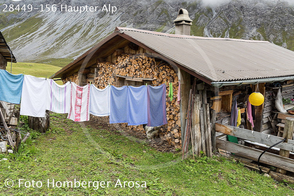 28449-156 Haupter Alp